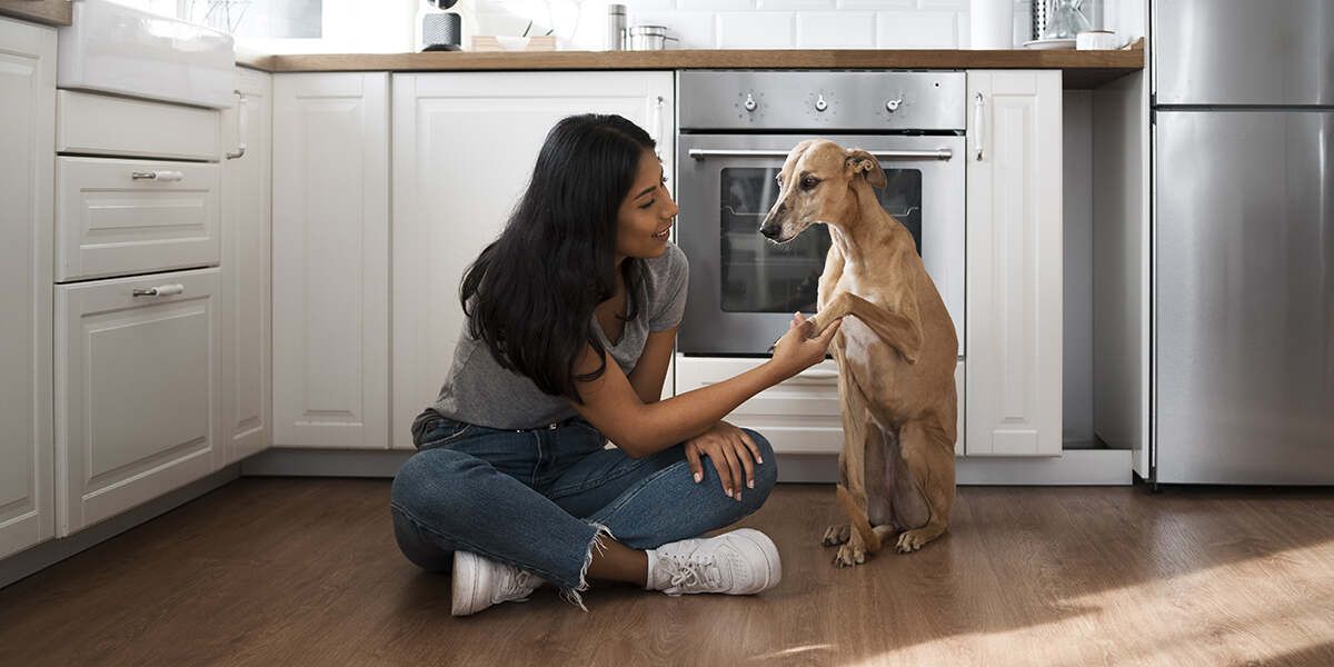 pet-friendly kitchen